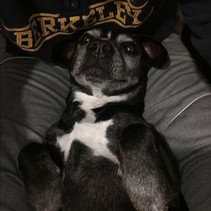 Meet your Posher, Mai